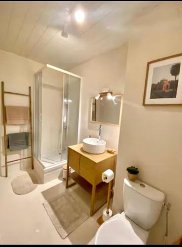 une salle de bain avec toilettes, lavabo et douche dans l'établissement Appartement 151 - Proche Gare, à Montargis