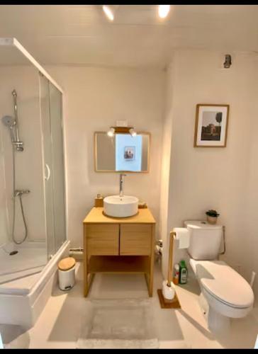 une salle de bain avec un lavabo, des toilettes et une douche dans l'établissement Appartement 151 - Proche Gare, à Montargis