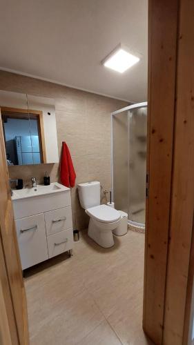a bathroom with a toilet and a sink and a shower at Cabana 325 in Cinciş