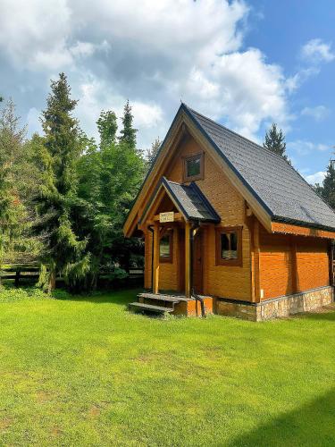 a small wooden cabin in a field of grass at DOMKI JANOSIK - Janosik 2 Komfort in Łopuszna