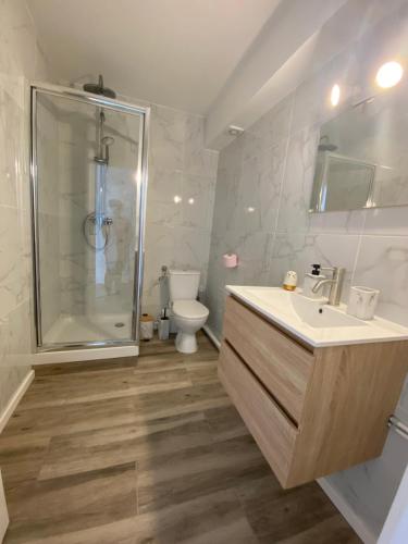 une salle de bain avec une douche, un lavabo et des toilettes dans l'établissement Escale nancéienne , Nancy centre , parking GRATUIT, à Nancy