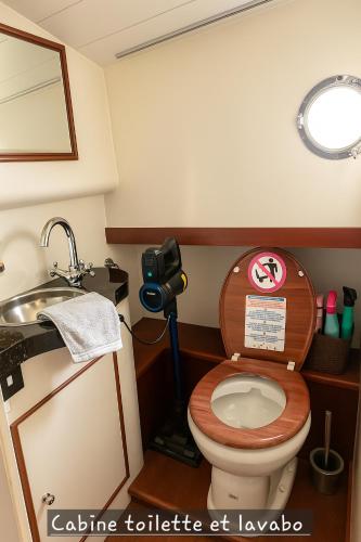 une salle de bain avec des toilettes avec une caméra et un lavabo dans l'établissement Bateau le Zimon - logement insolite, à Rouen