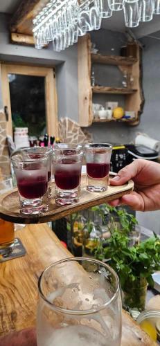 a person holding a tray with four glasses on it at Vinný sklípek Drápalík in Milovice