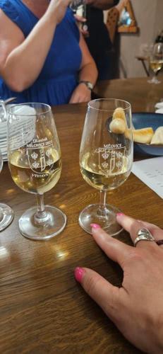 two glasses of white wine sitting on a table at Vinný sklípek Drápalík in Milovice