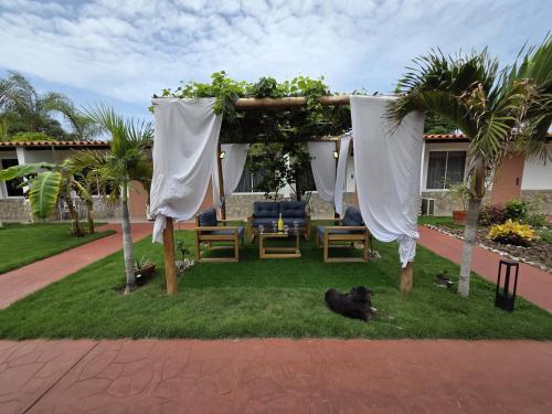 a cat laying on the grass under a gazebo at Posada La Luz del Caribe in La Mira