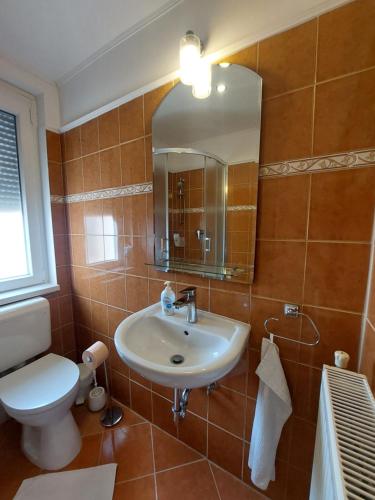 a bathroom with a sink and a toilet and a mirror at Bodza apartman in Gyula