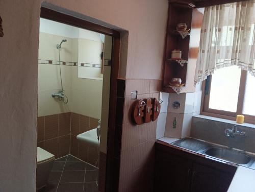 a bathroom with a sink and a shower at Guest House Bake in Gjirokastër