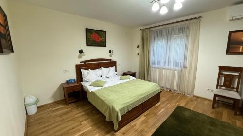 a bedroom with a large bed and a window at Holbina Trei Bibani - Delta Dunarii in Dunavăţu de Jos