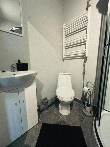 a bathroom with a white toilet and a sink at Mērsraga Miera Osta in Mērsrags
