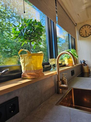 Η κουζίνα ή μικρή κουζίνα στο Tiny House De Spjocht