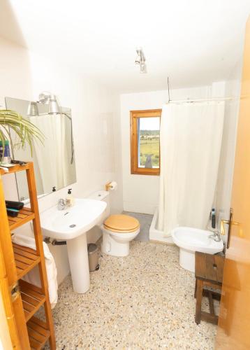 a bathroom with a sink and a toilet and a shower at Casa Guaranatura alojamiento y barrancos in Bierge
