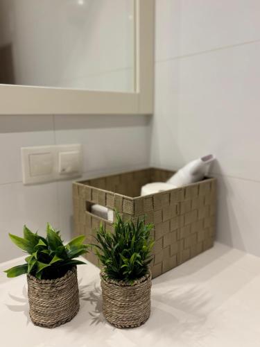two plants in baskets sitting on a counter in a bathroom at Liepaja Apartments in Liepāja