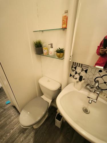 a bathroom with a toilet and a sink at STUDIO en face de la forêt de FONTAINEBLEAU in Avon