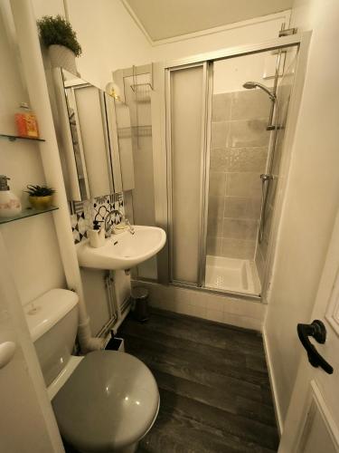 a bathroom with a toilet and a sink and a shower at STUDIO en face de la forêt de FONTAINEBLEAU in Avon