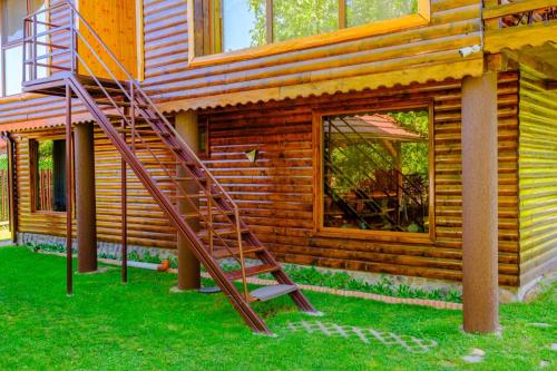 a wooden house with a ladder outside of it at Casa Bunicii in Costeşti