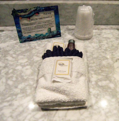 a towel holder with a man in it on a counter at Roaring River State Park in Cassville