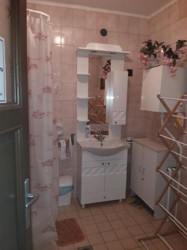 Un baño con lavabo y cortina de ducha. en Liliapartman, en Hajdúböszörmény