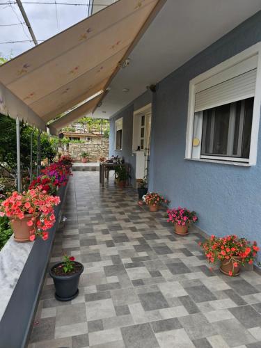 Κήπος έξω από το Rajan Shehaj Apartment
