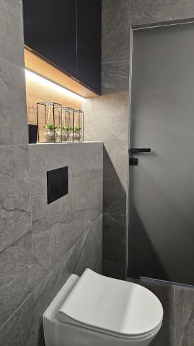 a bathroom with a white toilet in a room at Jeziorna Green Apartment in Siewierz