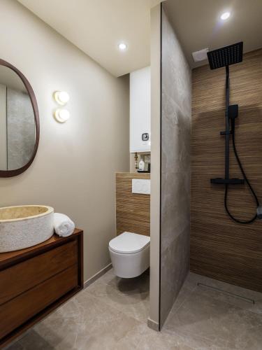 une salle de bain avec toilettes, lavabo et miroir dans l'établissement Magnifique studio boulevard gambetta - A, à Nice