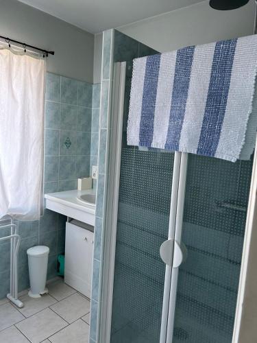 une douche avec une porte vitrée dans une salle de bain dans l'établissement Maison au calme avec jardin, à Bénesse-Maremne