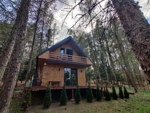 a tree house in the middle of the forest at Chatki Bernadki - Siedliska na Roztoczu in Siedliska