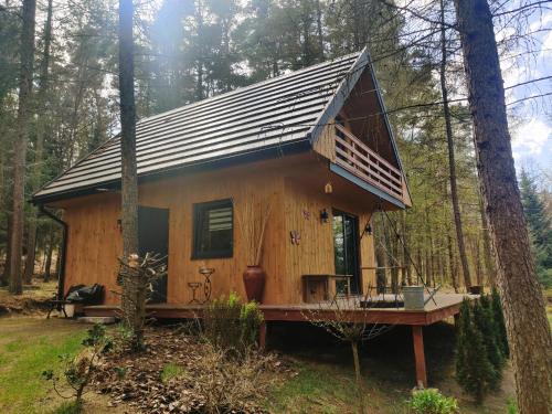 a tiny house in the woods with a porch at Chatki Bernadki - Siedliska na Roztoczu in Siedliska