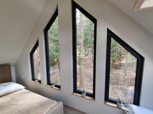 a room with four windows in a room with a bed at Chatki Bernadki - Siedliska na Roztoczu in Siedliska