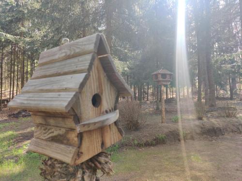 a bird house and a bird feeder in a forest at Chatki Bernadki - Siedliska na Roztoczu in Siedliska