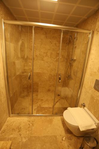 a bathroom with a shower and a toilet at Erdu Cappadocia Stone House in Avanos