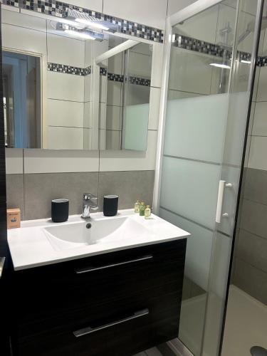 une salle de bain avec un lavabo et une douche en verre dans l'établissement Annecy - Bright & renovated 3-room apartment, à Annecy