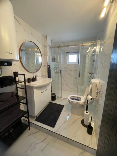 a bathroom with a sink and a toilet and a mirror at Second home apartment - rose gold in Kustići