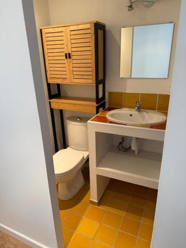 une salle de bain avec toilettes et lavabo dans l'établissement Appartement indépendant Chez Amel & Rémi, à Fabrezan