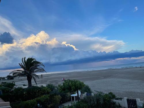 Exclusive Beachfront Luxury!