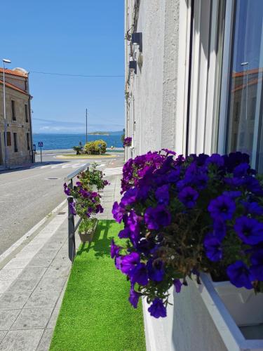 a window box with purple flowers on the side of a building at Villa Playa Baiona in Baiona