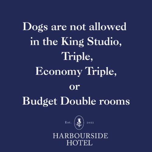 two dogs are not allowed in the king studio temple economy temple or at Harbourside Hotel in Irvine
