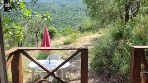 una mesa en un balcón con vistas a un bosque en Magnifique roulotte, en Sospel