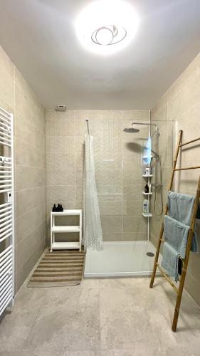 une salle de bain avec une douche avec une porte vitrée dans l'établissement Havre de paix - Campagne Gasconne - T3 neuf - 120m2, à Sainte-Maure-de-Peyriac