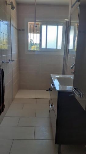 une salle de bain avec un lavabo et une douche dans l'établissement La Maison LEON, à Ychoux