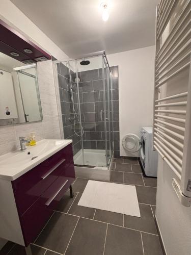 une salle de bain avec un lavabo et une douche dans l'établissement Charmant T3 Vue Mer & Confort en Plein Centre, à Brest