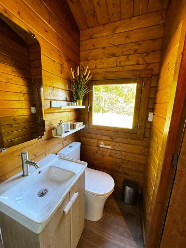 a bathroom with a sink and a toilet in a log cabin at The Bungalow - Quinta da BellaVista in Almoster