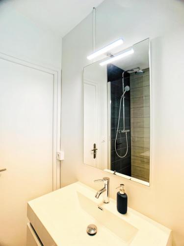 une salle de bain avec un lavabo et un miroir dans l'établissement Superb Apartment with Parking Amboise 1, à Vannes