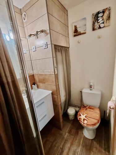 une petite salle de bain avec toilettes et douche dans l'établissement Appartement familial et pratique, au Barcarès