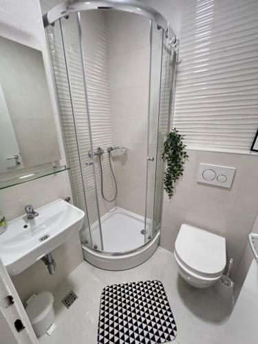 a bathroom with a shower and a toilet and a sink at Villa Marie in Baška Voda