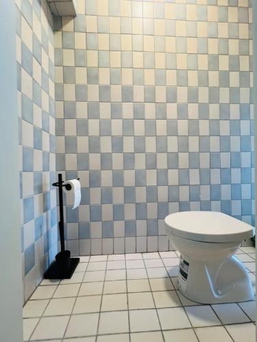 a bathroom with a toilet and blue and white tiles at Villa Rebuli - room One - zentral in Top 3 in Leitendorf