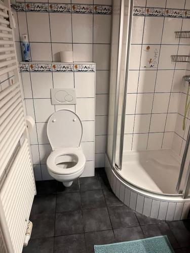 a small bathroom with a toilet and a shower at Apartment Graz Eggenberg Top 5 in Graz