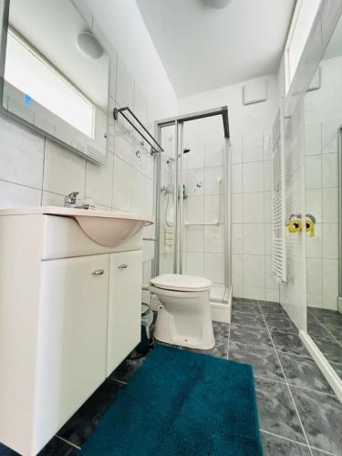 a bathroom with a toilet and a sink and a shower at Big Travel Group Leoben in Leitendorf
