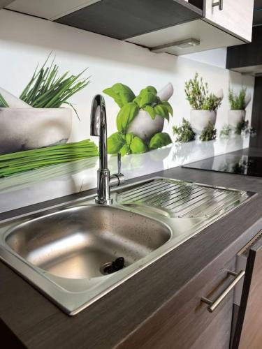 a sink in a kitchen with potted plants at Central - Modern - Free Parking - Top2 in Leitendorf