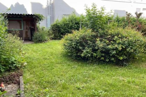 a garden with green grass and bushes and a house at Leoben 3 rooms 3 people Top 4 in Leitendorf