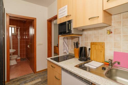 a kitchen with a sink and a counter top at Kuca Orhidea in Crikvenica